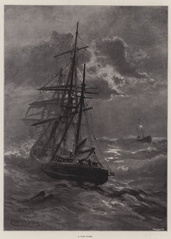 En vild nat af Charles John de Lacy