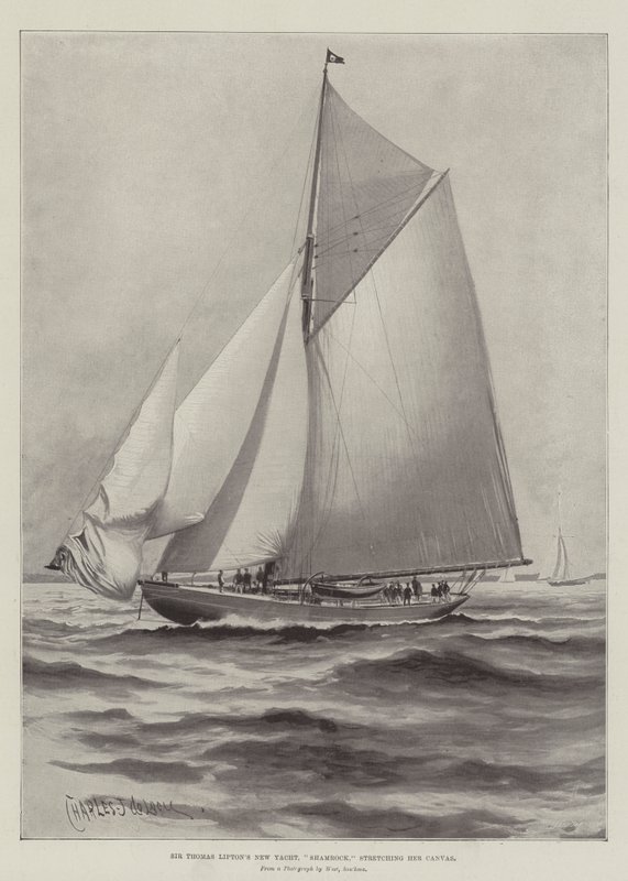 Sir Thomas Liptons nye yacht, Shamrock, strækker sit lærred af Charles John de Lacy