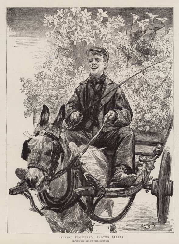 Forårsblomster, Påskeliljer, Påskeliljer af Charles Paul Renouard
