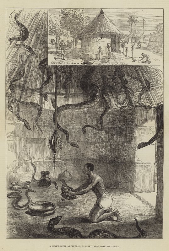 Et slangehus ved Whydah, Dahomey, Afrikas vestkyst af Sir John Charles Robinson