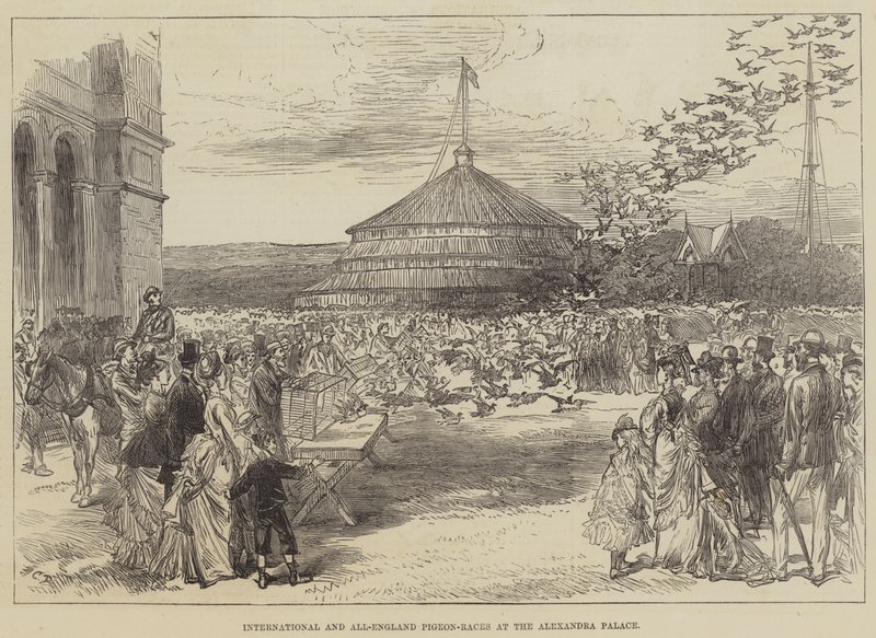 Internationale og All-England Pigeon-væddeløb på Alexandra Palace af Sir John Charles Robinson