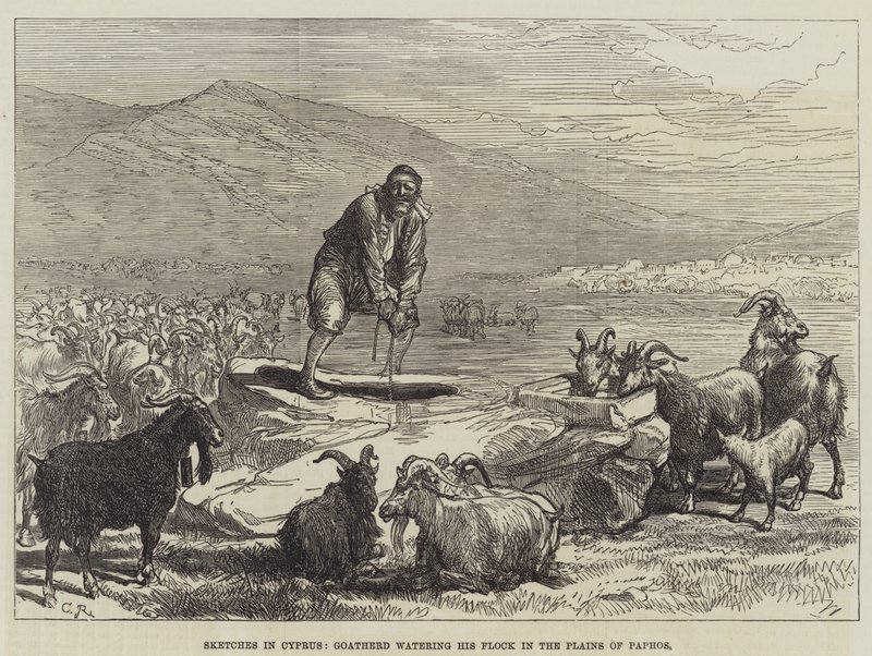 Skitser på Cypern, gedehyrde, der vander sin flok på Paphos-sletten af Sir John Charles Robinson