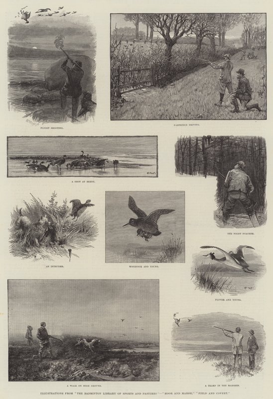 Illustrationer fra The Badminton Library of Sports and Pastimes, Moor and Marsh, Field and Covert af Charles Whymper