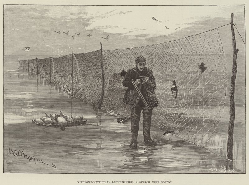 Wildfowl-Netting i Lincolnshire, en skitse nær Boston af Charles Whymper
