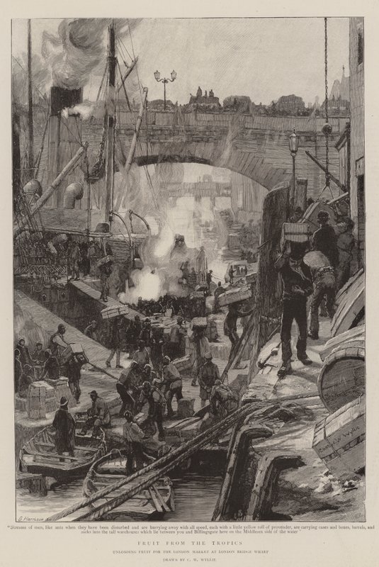 Frugt fra troperne af Charles William Wyllie