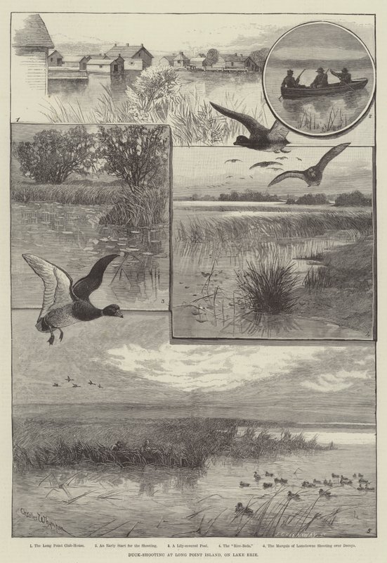 Andeskydning ved Long Point Island, ved Lake Erie (gravering) af Charles (after) Whymper