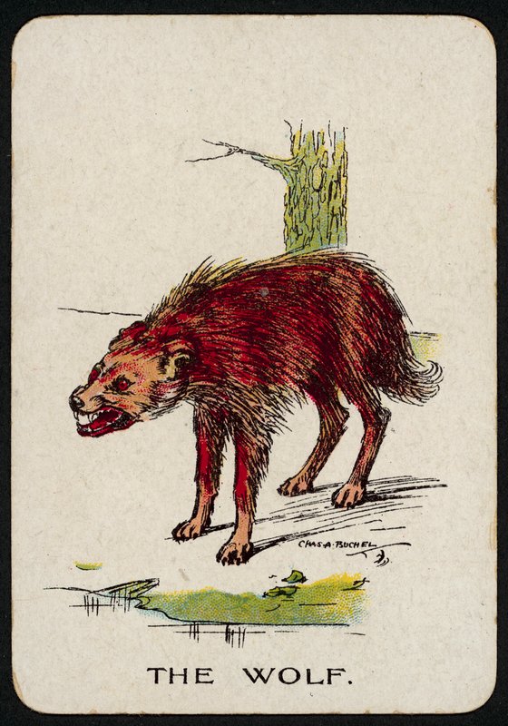 Ulven (farve litho) af Charles A. Buchel