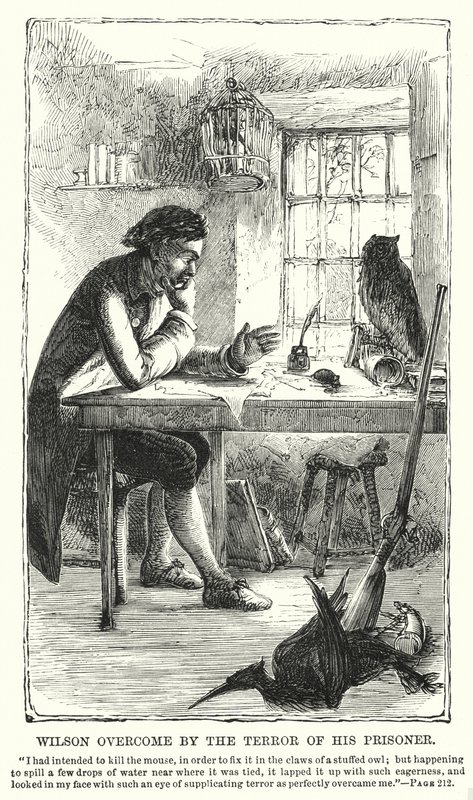 Wilson overvundet af sin fanges rædsel (gravering) af Charles Altamont Doyle