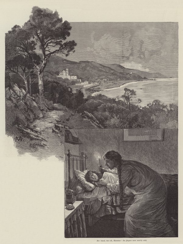 Mr Meesons testamente af H Rider Haggard af Charles Auguste Loye