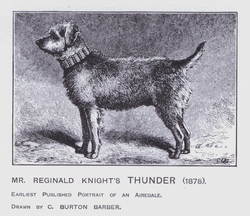 Hr. Reginald Knight