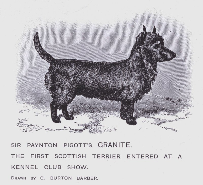 Sir Paynton Pigotts granit (litho) af Charles Burton (after) Barber