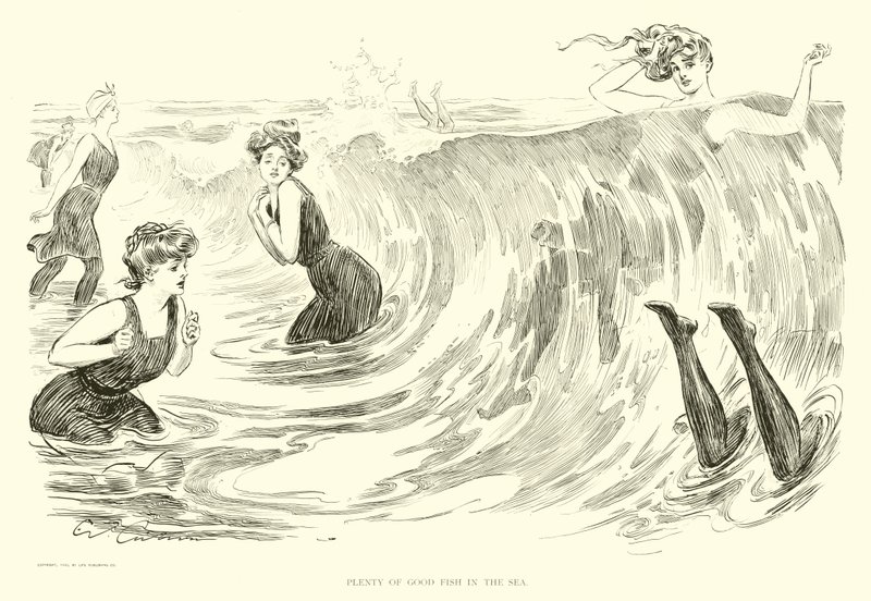 Illustration til The Social Ladder (gravering) af Charles Dana Gibson