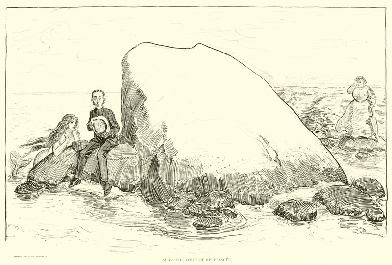 Illustration til Den sociale stige af Charles Dana Gibson