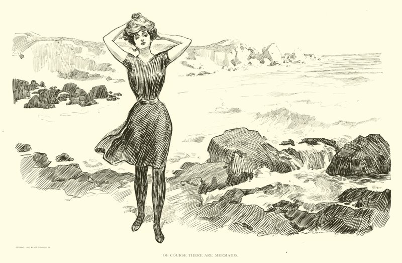 Illustration til Den sociale stige af Charles Dana Gibson