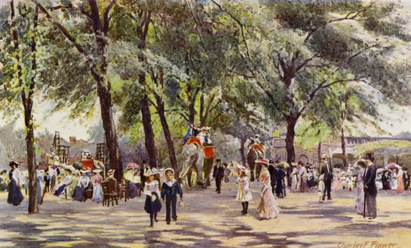 London Zoo: Broad Walk, med elefanter (farve litho) af Charles Edwin Flower