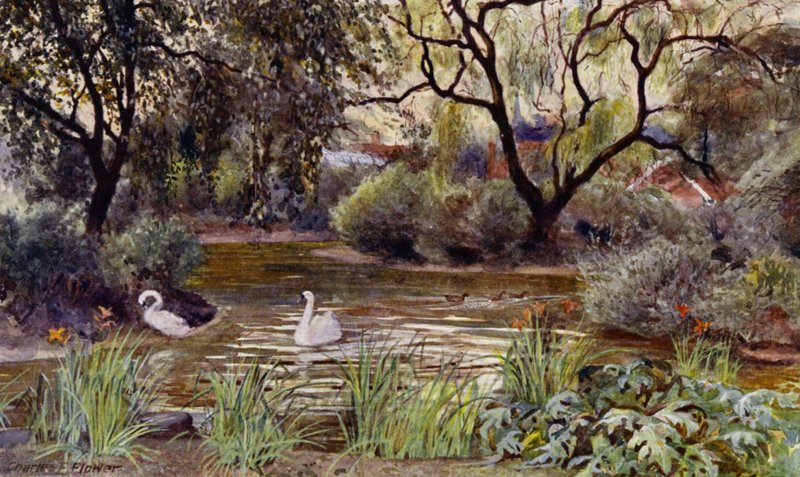 London Zoo: Three Island Pond (farve litho) af Charles Edwin Flower