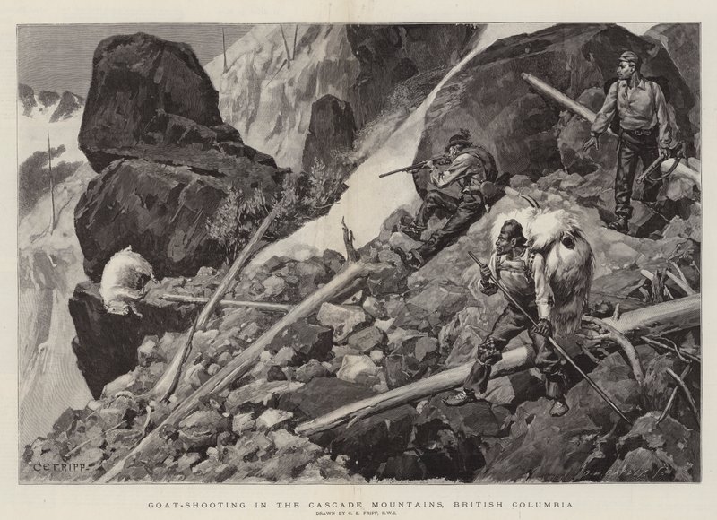 Gedeskydning i Cascade Mountains, British Columbia af Charles Edwin Fripp