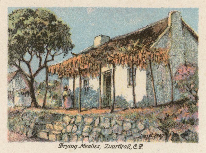Sydafrika: Tørring af Mealies, Zuurbrak, CP (farvelitografi) af Charles Ernest Peers