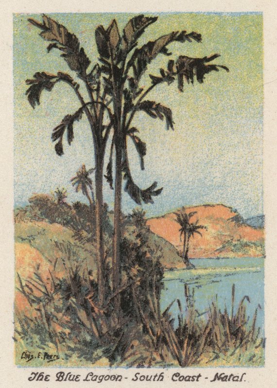 Sydafrika: Den blå lagune, sydkysten, Natal (farvelitografi) af Charles Ernest Peers
