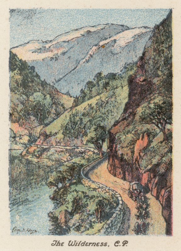 Sydafrika: The Wilderness, CP (farvelitografi) af Charles Ernest Peers