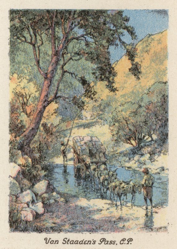 Sydafrika: Van Staaden