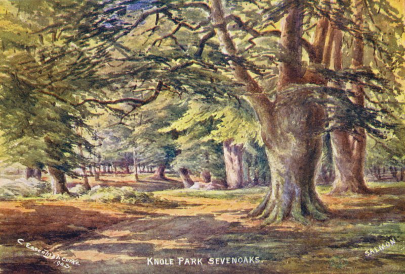 Knole House: Bøgetræer i parken (farvelitografi) af Charles Essenhigh Corke