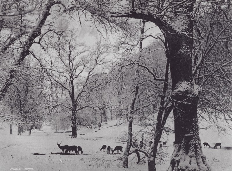 Knole Park (s/h-billede) af Charles Essenhigh Corke