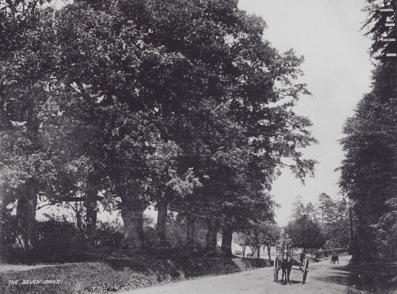 The Seven Oaks (s/h foto) af Charles Essenhigh Corke