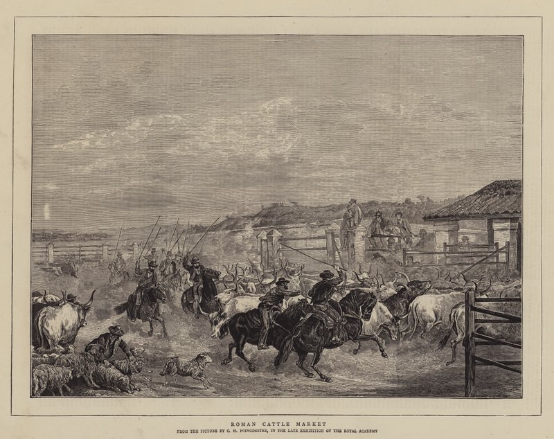 romersk kvægmarked af Charles H. Poingdestre