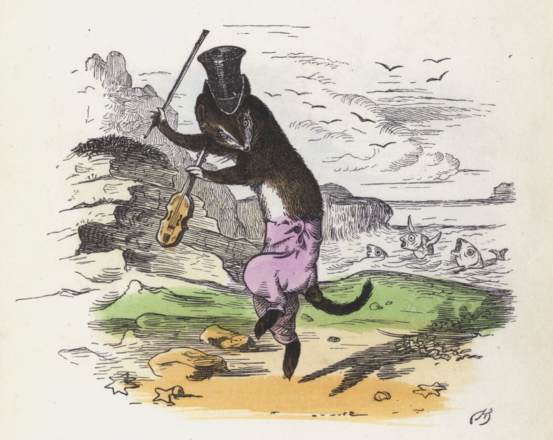 Fransk væsel spiller violin og danser (farvet indgravering) af Charles Henry (after) Bennett