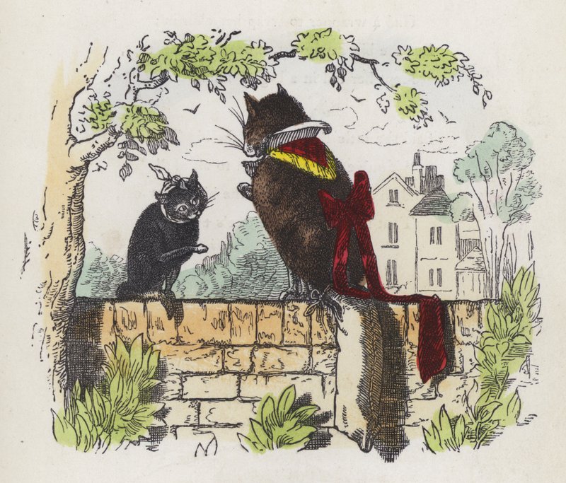To katte på en havevæg (farvet gravering) af Charles Henry (after) Bennett