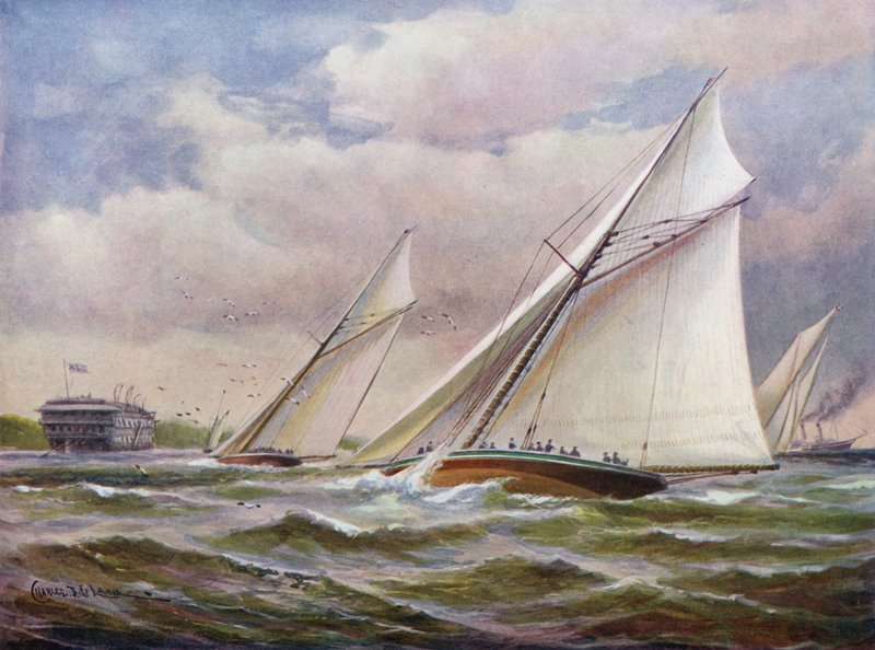 Hvide vinger af Charles John de Lacy
