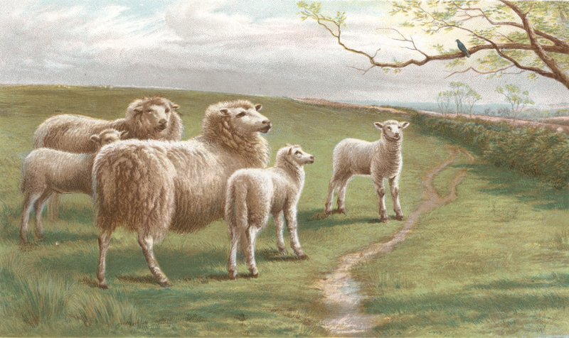 En sang om foråret (chromolitho) af Charles Jones
