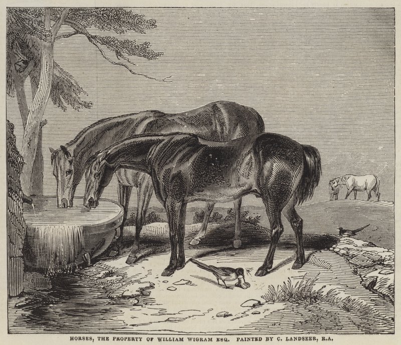 Heste, ejendom af William Wigram, Esquire af Charles Landseer