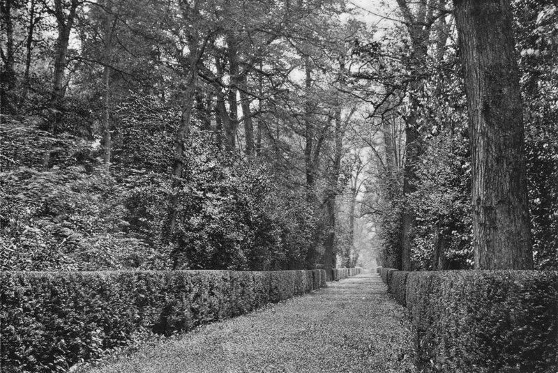 Hundevandringen af Charles Latham
