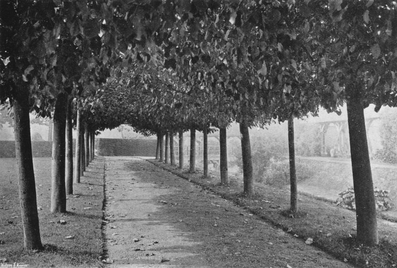 The Pleached Walk (s/h foto) af Charles Latham