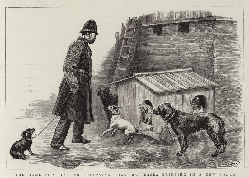 Hjemmet for fortabte og udsultede hunde, Battersea, der bringer en ny ind af Charles Paul Renouard