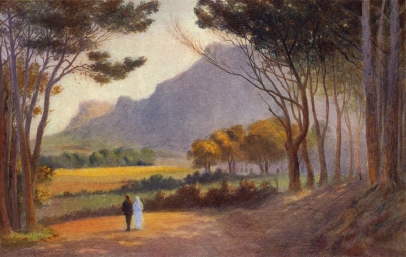 Cape Peninsula, Sydafrika: Alphen (farve litho) af Charles Stephen Meacham