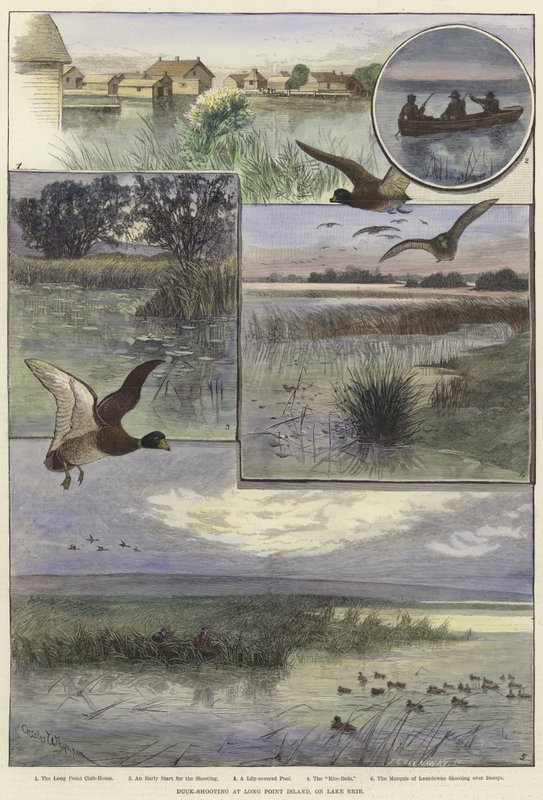 Andeskydning ved Long Point Island af Charles Whymper