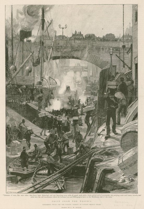 Frugt fra troperne (gravering) af Charles William Wyllie