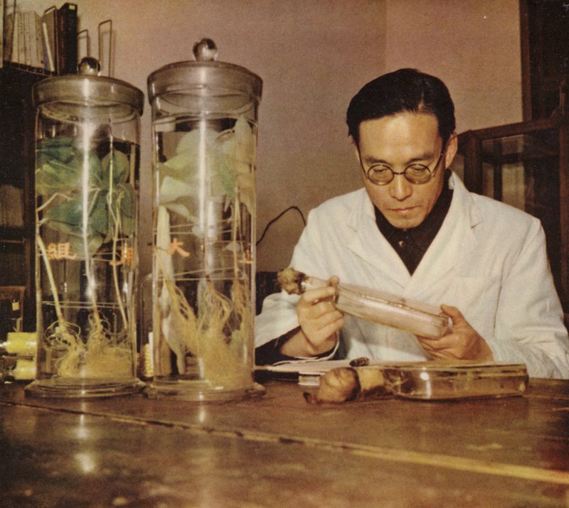 Kinesisk landbrugskemiker fra Changchun Research Institute People