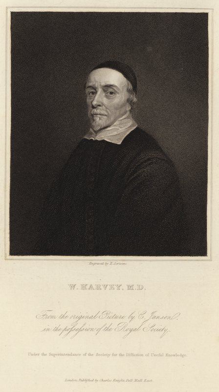 William Harvey af Cornelius Janssen van Ceulen