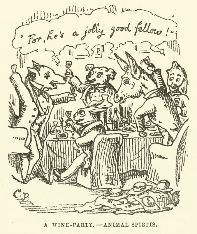 Illustration til Little Mr Bouncer and His Friend Verdant Green af Cuthbert Bradley