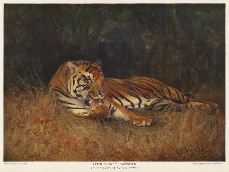 Efter middag, tilfreds (farve litho) af Cuthbert Edmund Swan