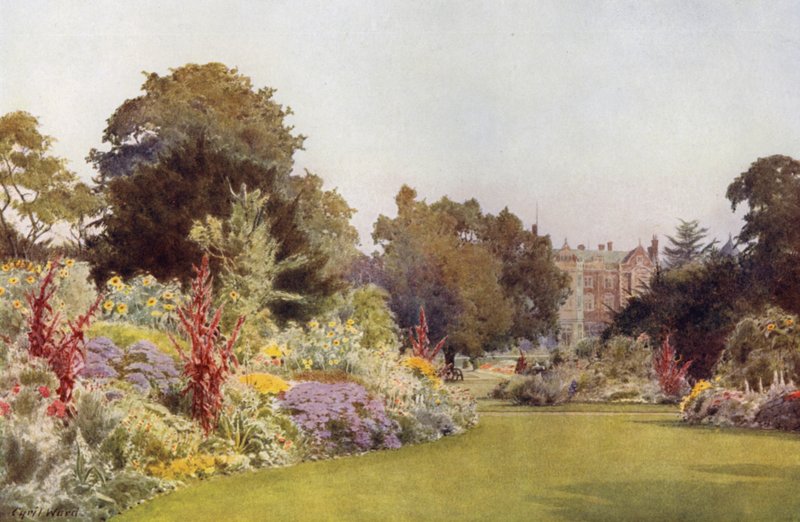 A Glade off the Lawn, Sandringham (farve litho) af Cyril Ward