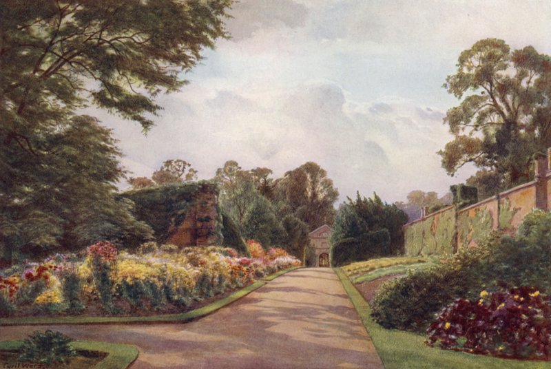 Tidlige krysantemum, Claremont (farve litho) af Cyril Ward