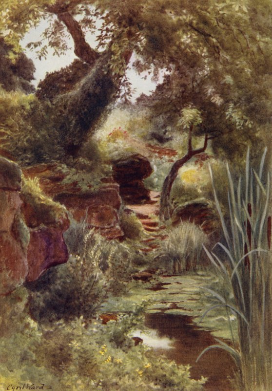En del af Rock Garden ved Upper Lake, Sandringham (farve litho) af Cyril Ward