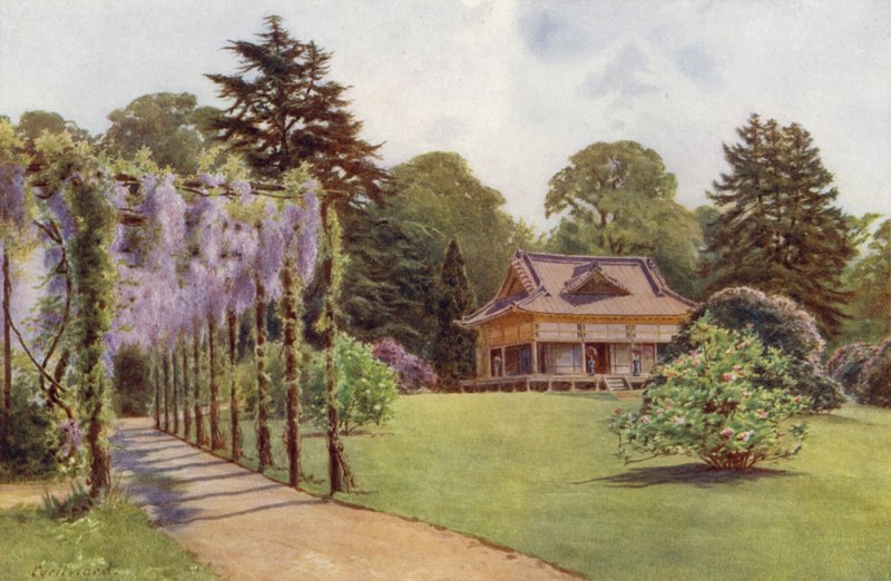 Det japanske hus og Wistaria Pergola, Bagshot Park (farve litho) af Cyril Ward