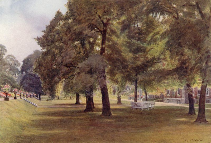 Træer på plænen ved Marlborough House (farve litho) af Cyril Ward