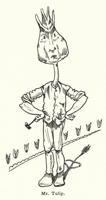Hr Tulip af Dion Clayton Calthrop